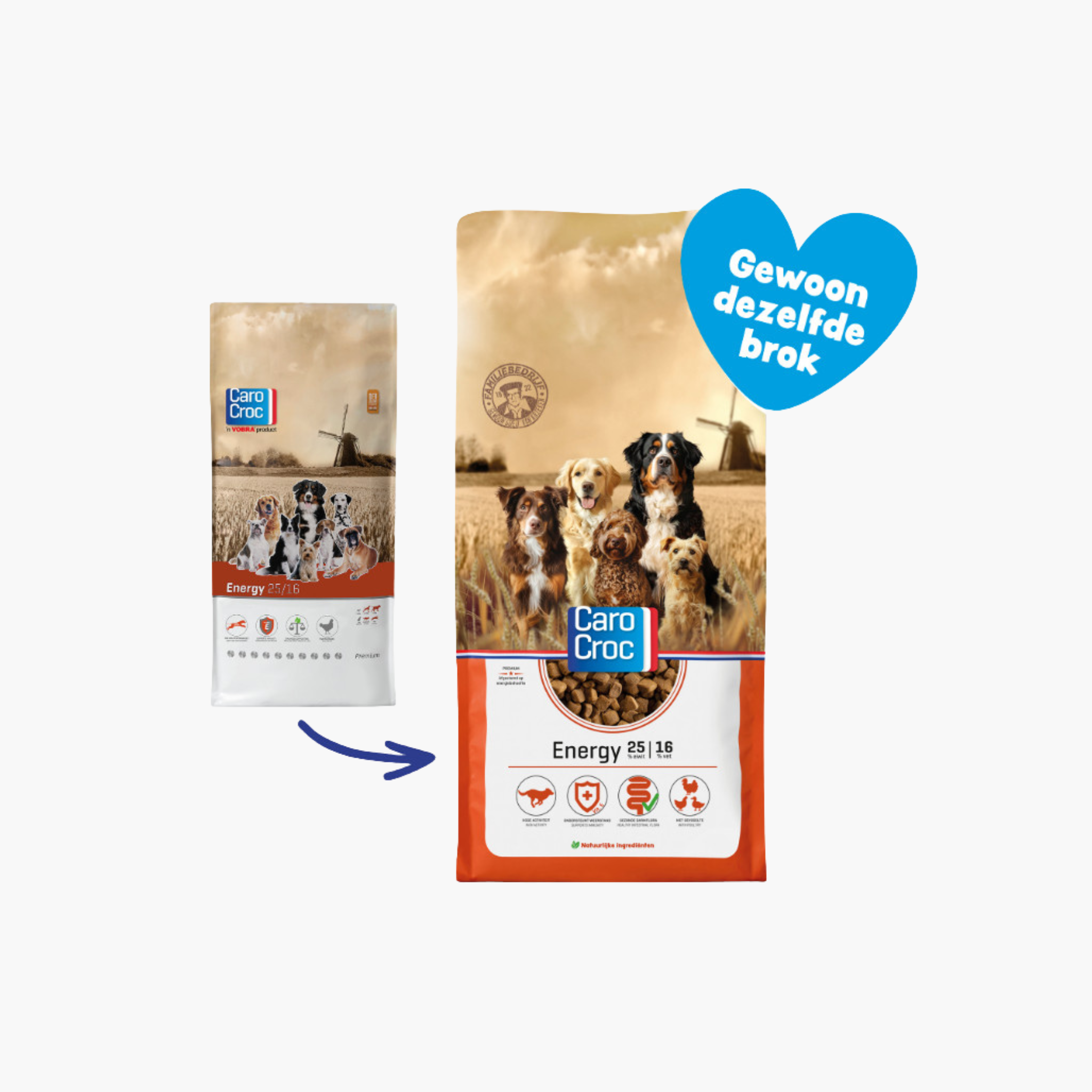 Carocroc Energy 25/16 - Pet Global Shop