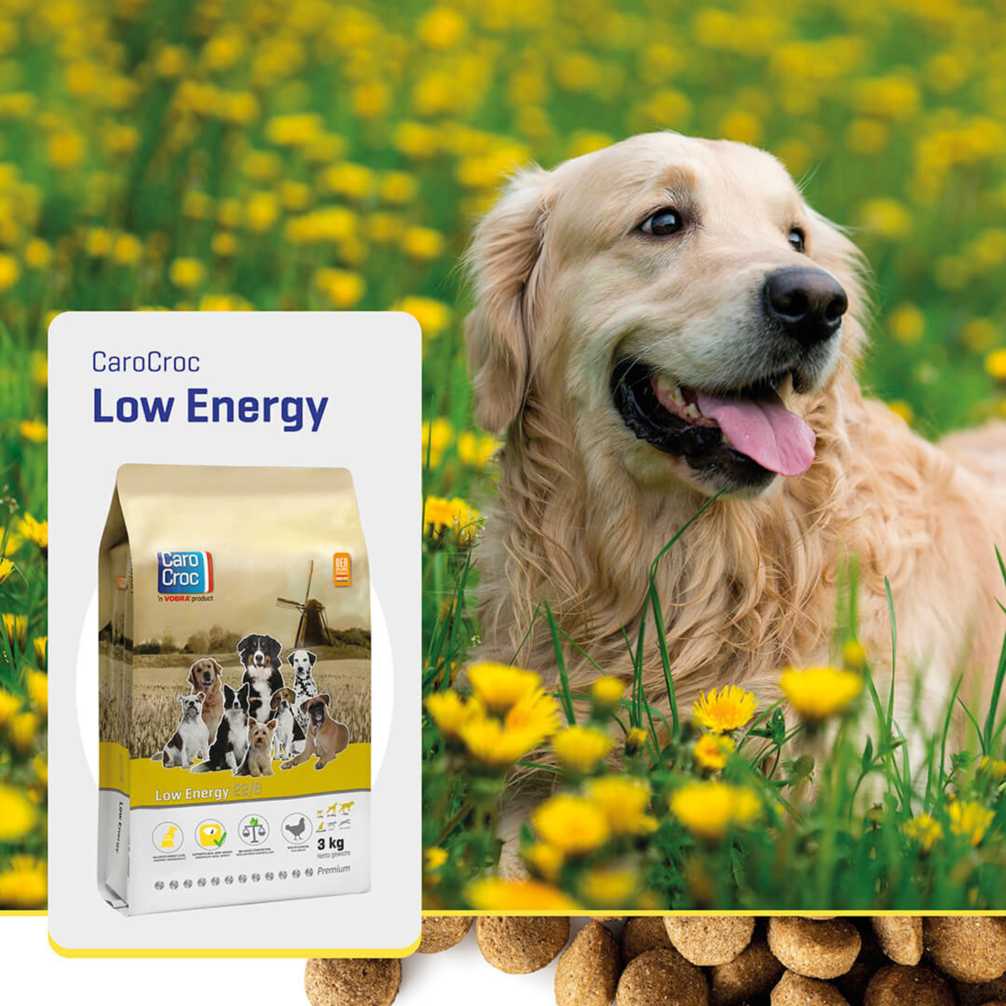 Carocroc Low Energy 22/8 - Pet Global Shop