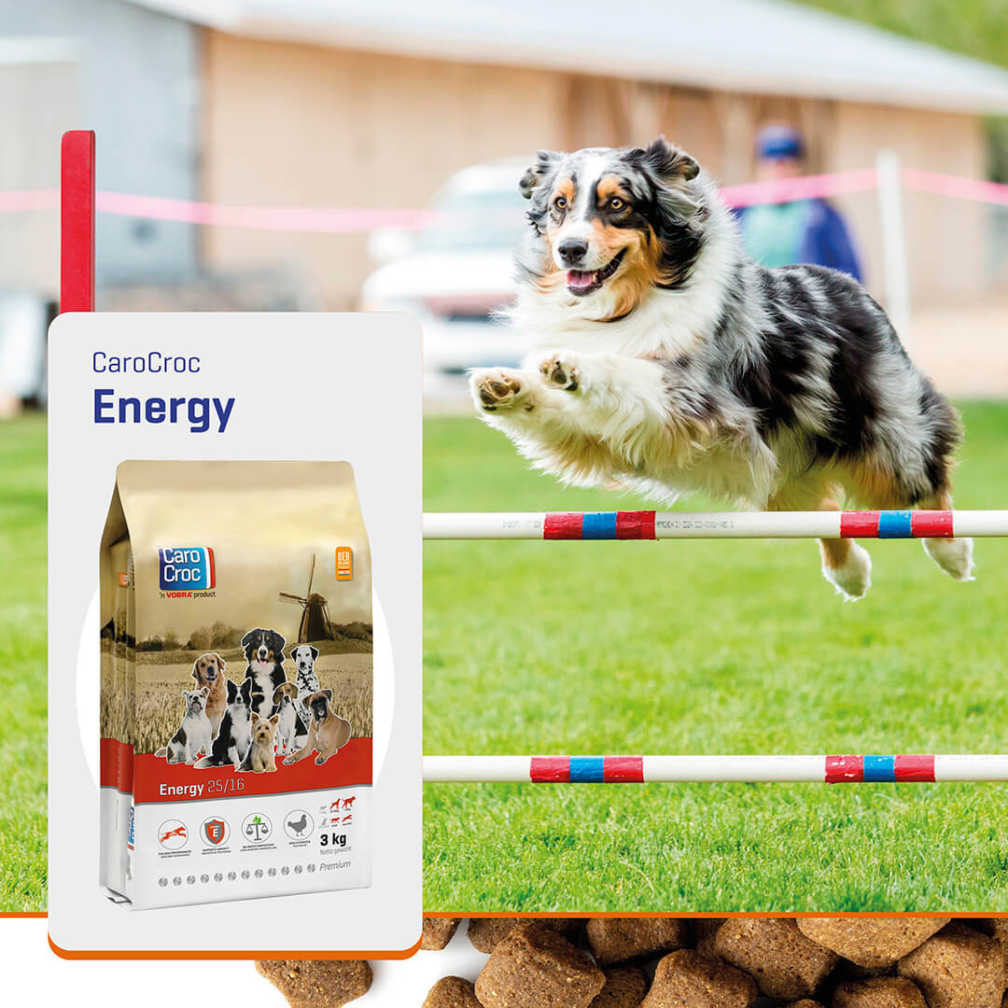 Carocroc Energy 25/16 - Pet Global Shop