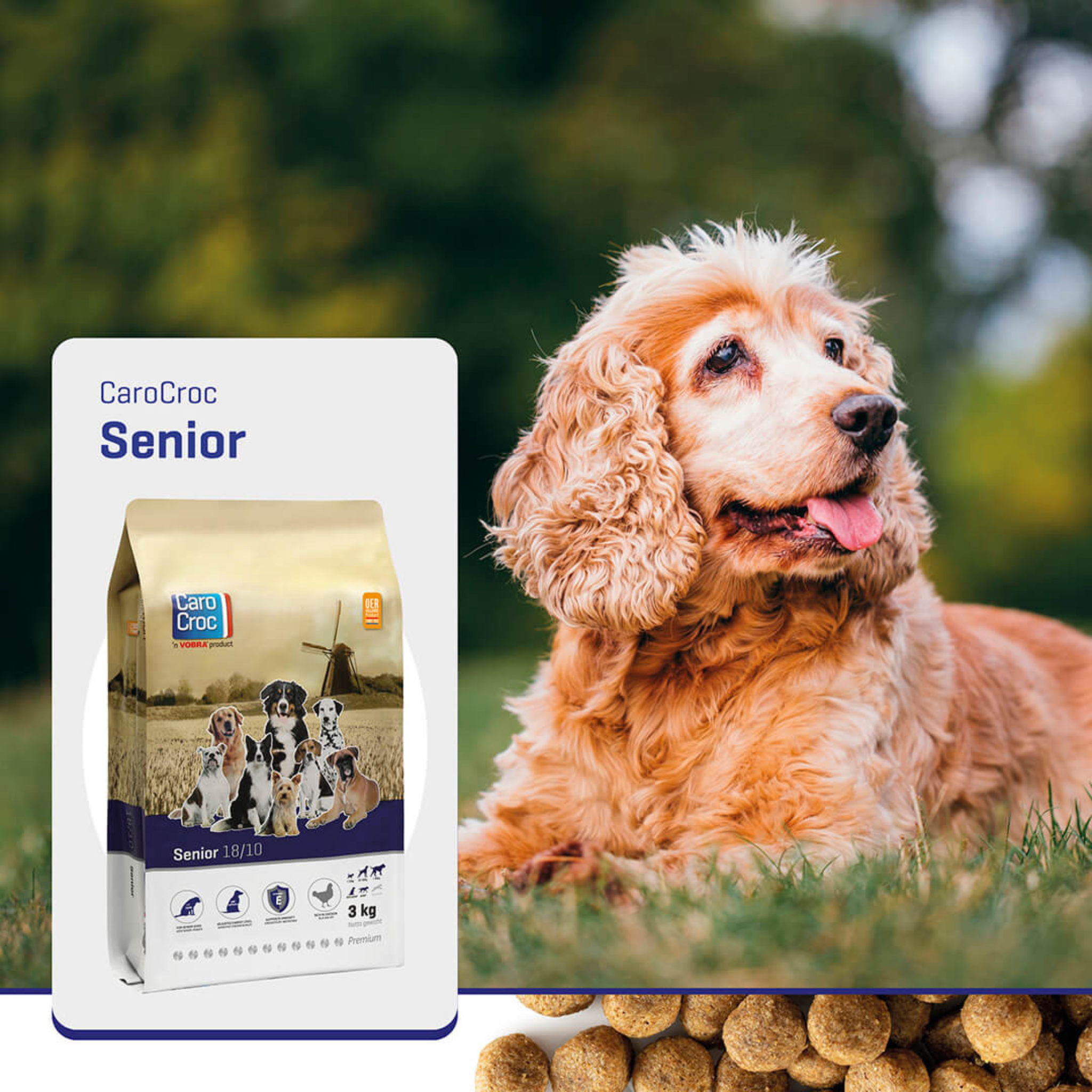 Carocroc Senior Silver 18/10 - Pet Global Shop